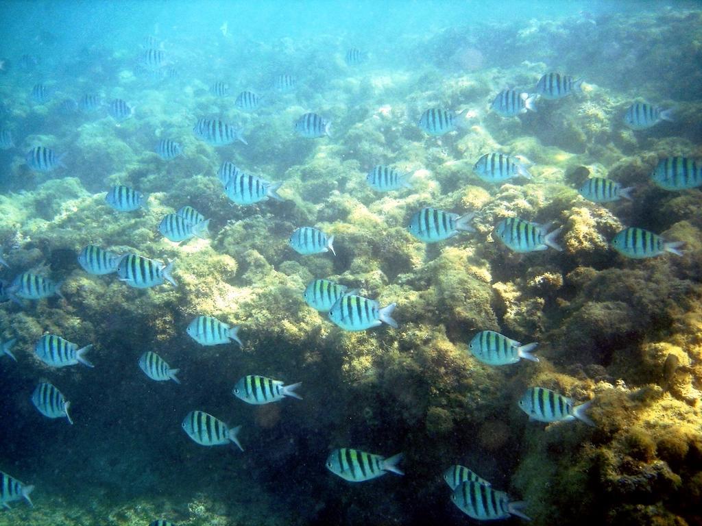 Pousada Sabrinna Maceió Екстериор снимка