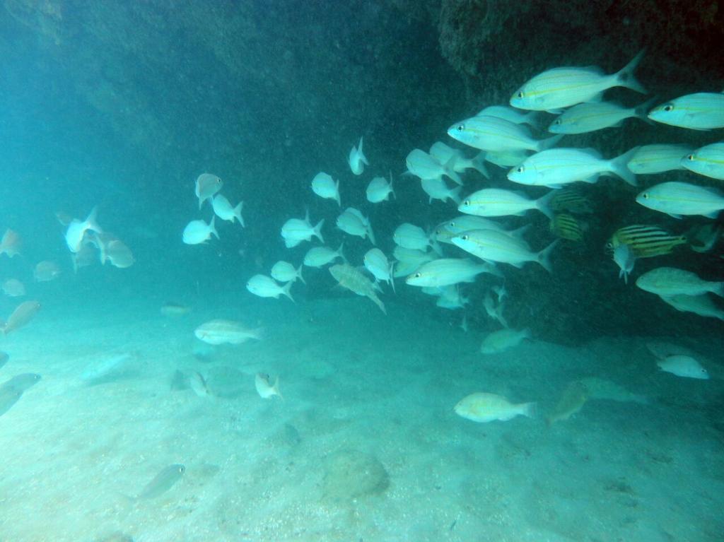 Pousada Sabrinna Maceió Екстериор снимка